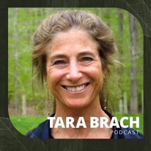 Tara Brach