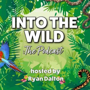 Into The Wild podcast