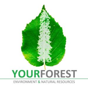 YourForest podcast