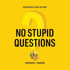 No Stupid Questions podcast