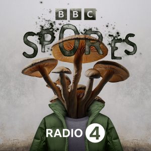 Limelight podcast