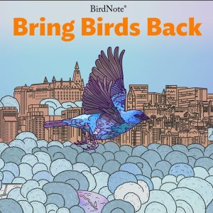 Bring Birds Back