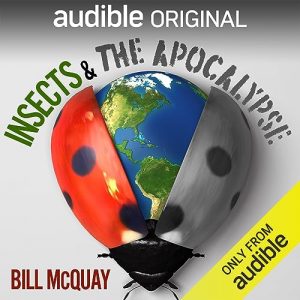 Insects & The Apocalypse podcast