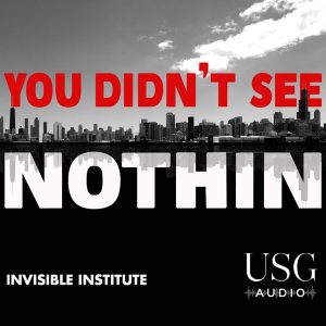 You Didn't See Nothin podcast