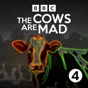 The Cows Are Mad podcast
