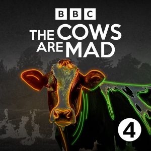 The Cows Are Mad