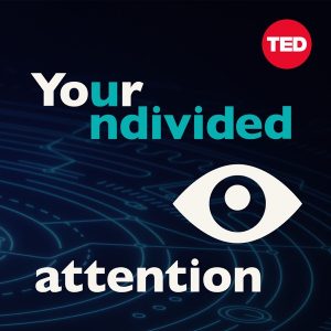 Your Undivided Attention podcast