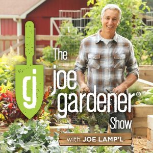 The joe gardener Show - Organic Gardening - Vegetable Gardening - Expert Garden Advice From Joe Lamp'l podcast