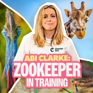 Abi Clarke: Zookeeper in Training